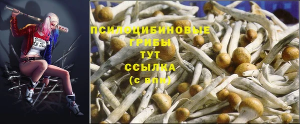 дмт Навашино